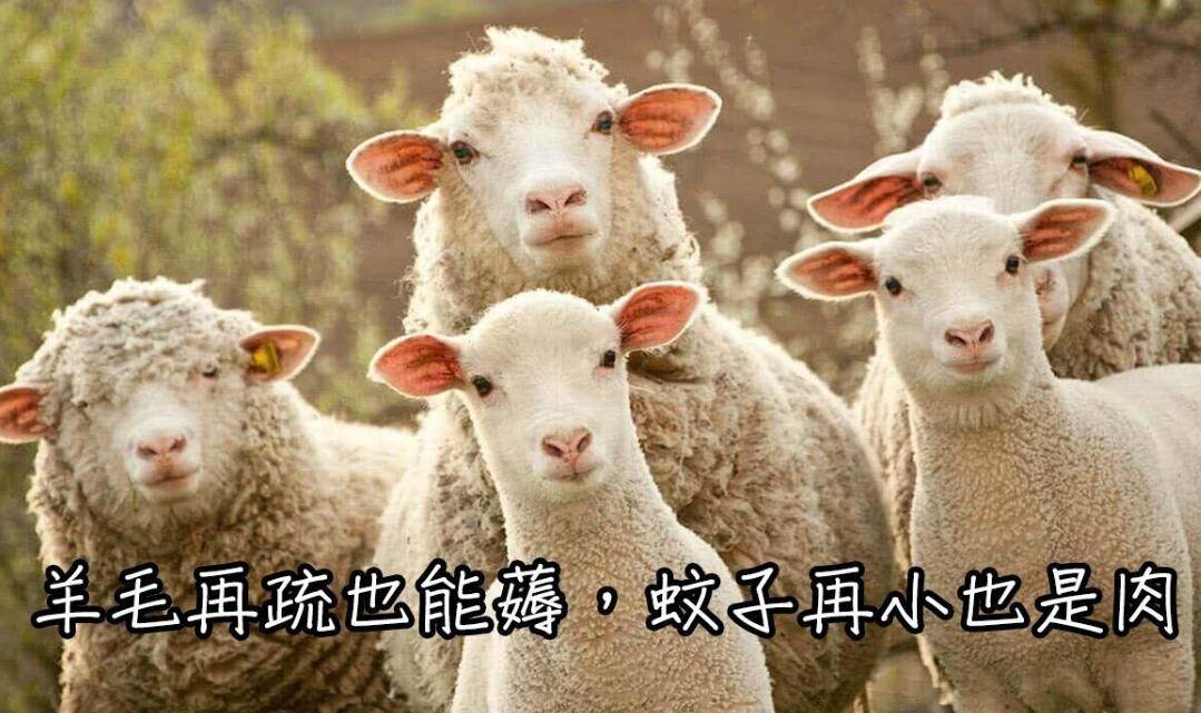 福利|再一次，苹果被羊毛党逼得修改福利政策了