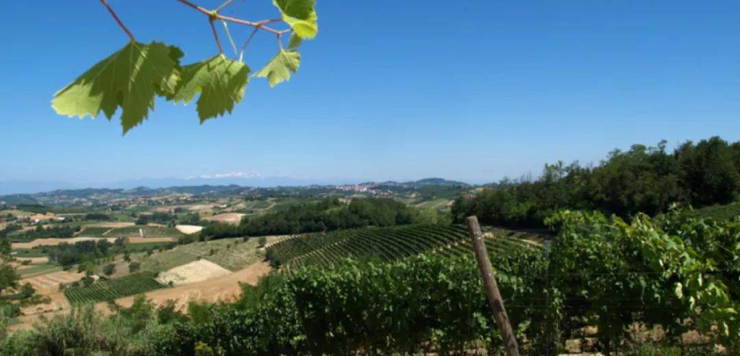 家族|安东尼世家古道探索马塔洛奇干红葡萄酒2016!