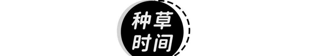 奶油色|T恤这么穿又土又显胖！第二种你一定有，赶紧扔掉！
