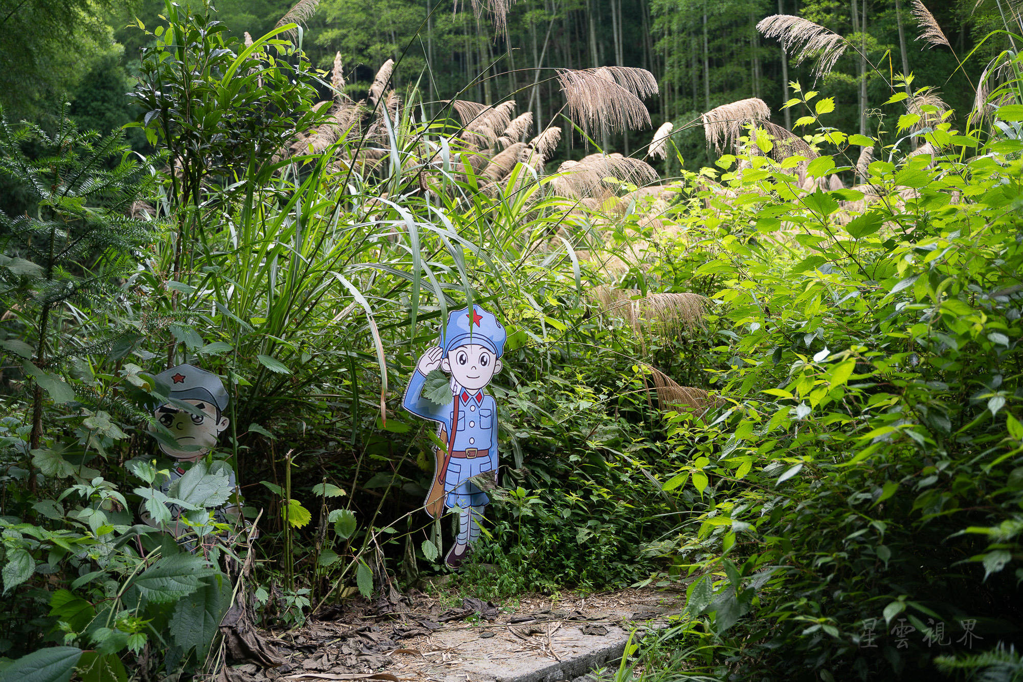 温州|泰顺泗溪深山秘境九里潭，风景优美人少还免费，要去的赶快！