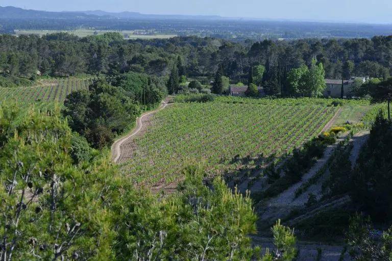 地区|普罗旺斯不止有桃红,铁瓦龙,丹湃,优选干红干白!
