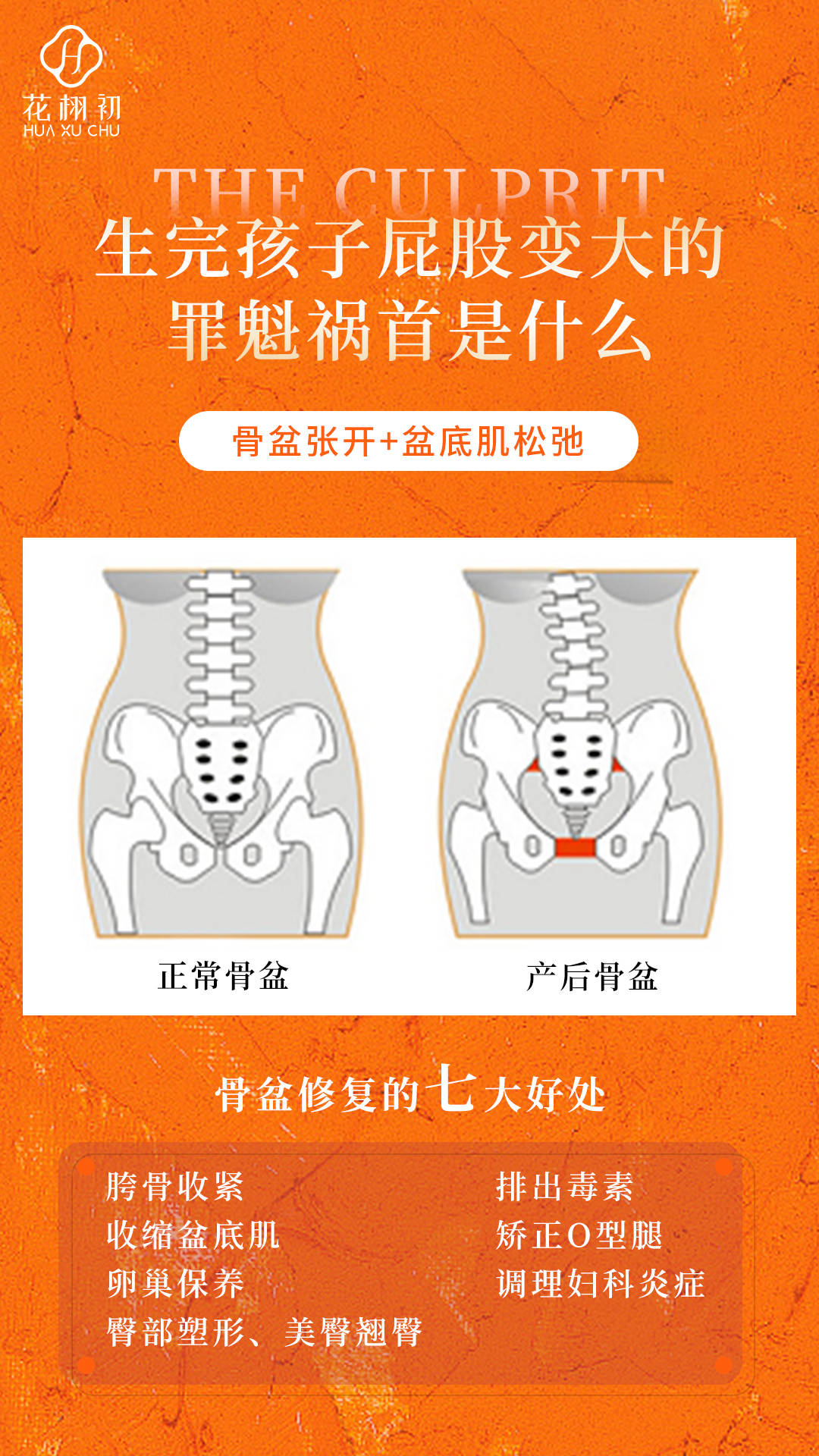 松弛‼️ 花栩初 骨盆修复七大好处你必须要做让你做产后辣妈，无悔青春盆底肌雌激素豆制品女人尿道 声明