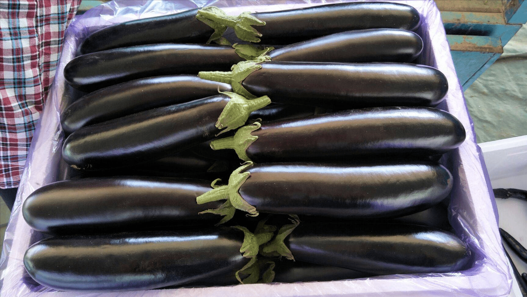 做茄子时不能直接炒不入味还吃油这个正确做法教给你