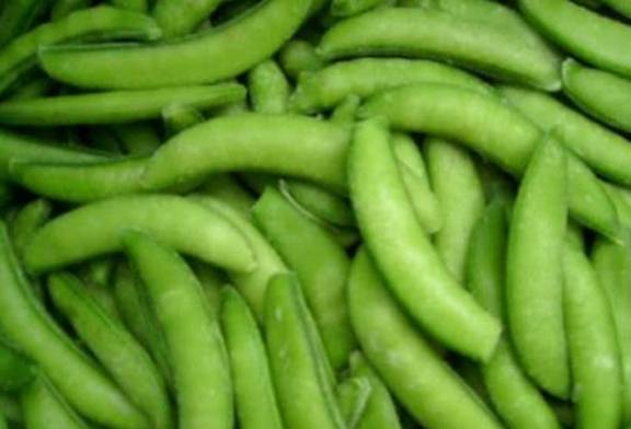 现在能种荷兰豆吗 508617b790d0431bb65308237a7d73d3.jpeg