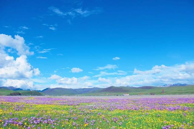 「红原」赴一场夏日之约