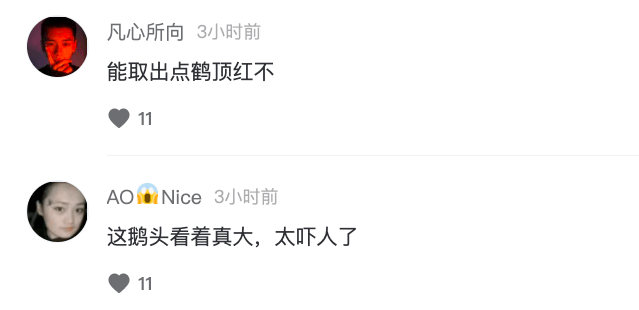 小冉|整容有风险！女网红额头填充成“天鹅头”形状，自称变成畸形，一脸生不如死