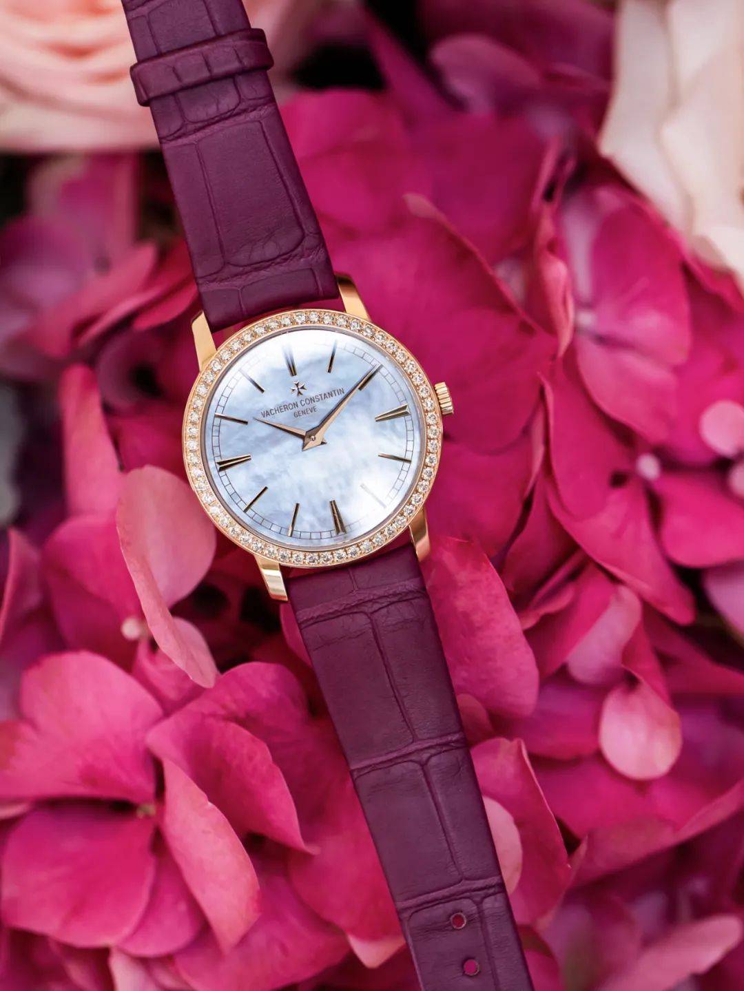 ÿ��������Ů��,���Ӳ�����ʫ���ٵ�����!