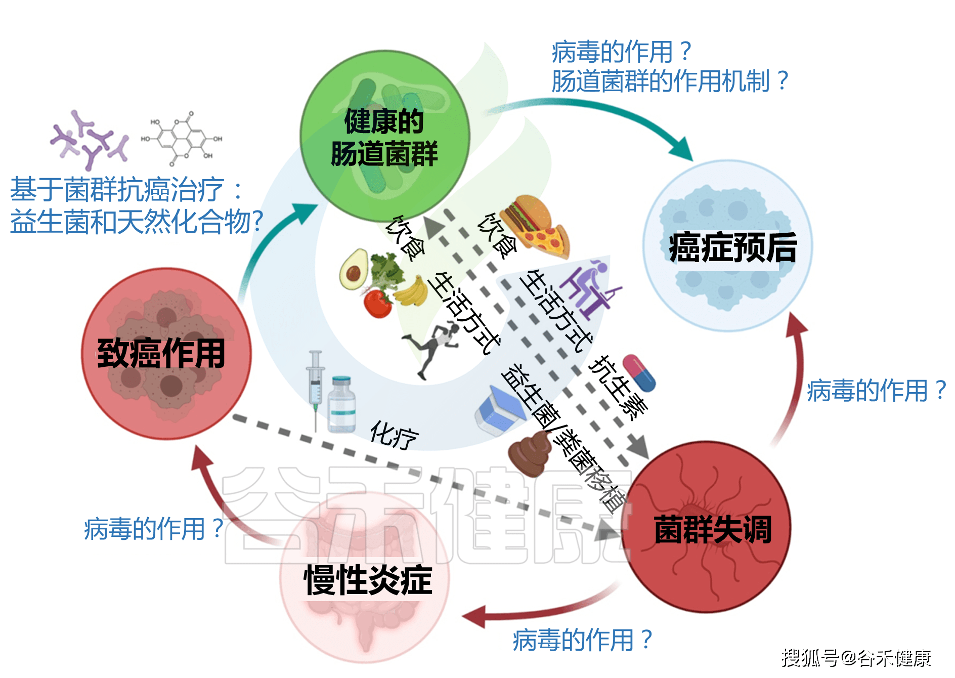 肠道微生物群与五种癌症的相互作用:致癌 治疗 预后_肿瘤