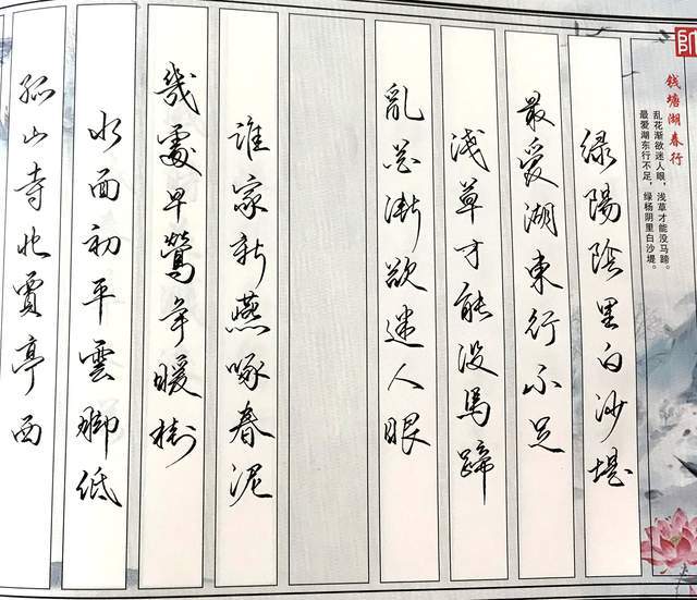 网络主播雪帅字帖是如何误导书法小白的?一看就是"江湖体"