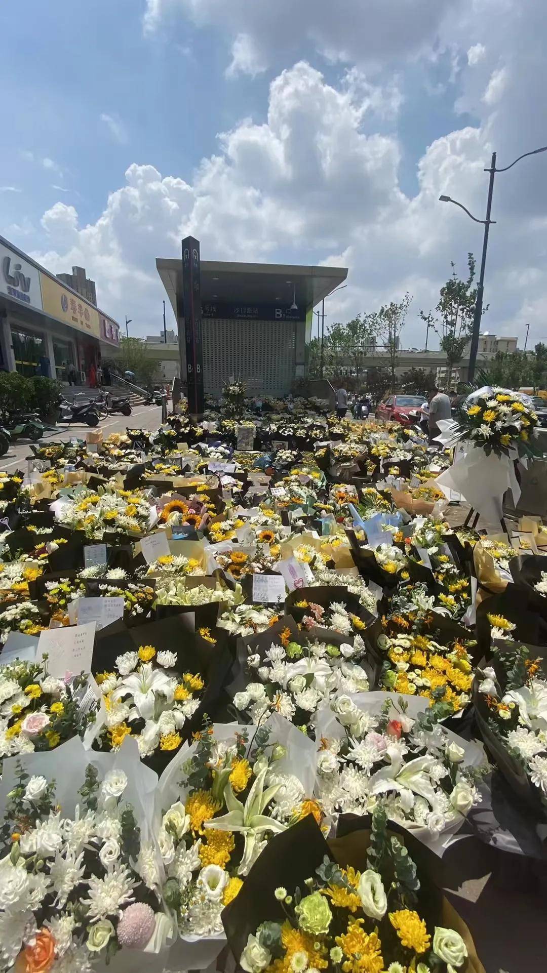 河南诗人牛冲,宗隆隆,阿娉,夏汉的悼诗|祭奠郑州5号线遇难者