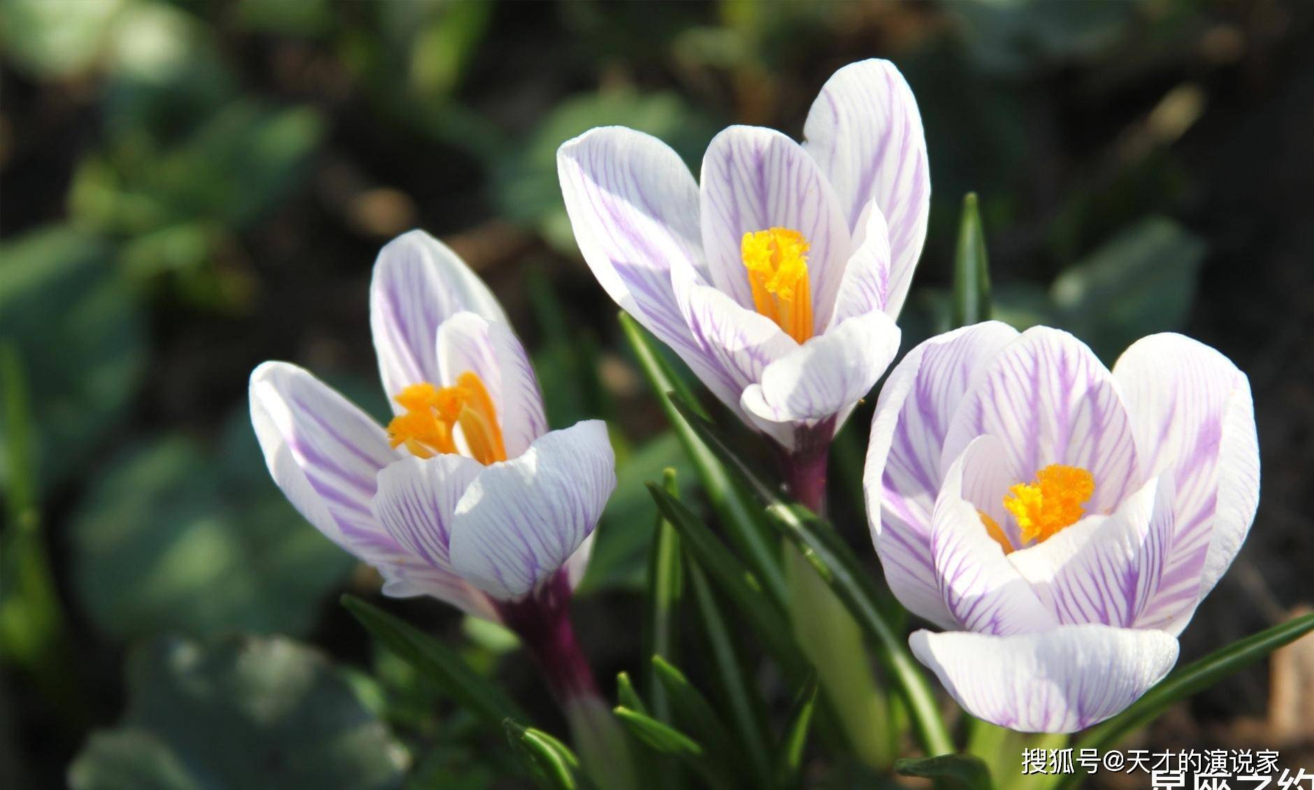 10月23日星座运势 天秤独立自主 发挥潜力 工作