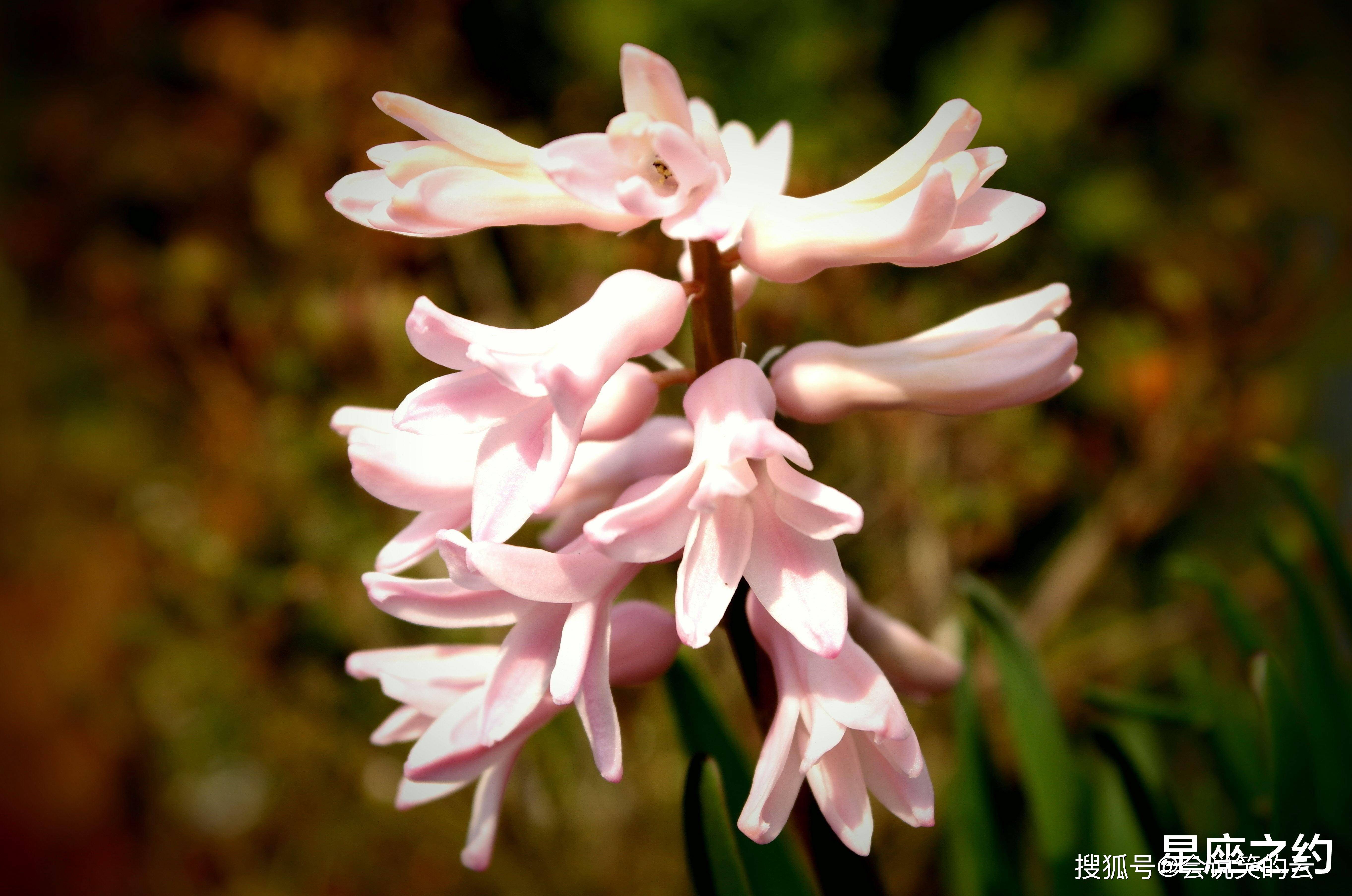 2月25日星座运势 确立目标 风雨兼程的四大星座 异性