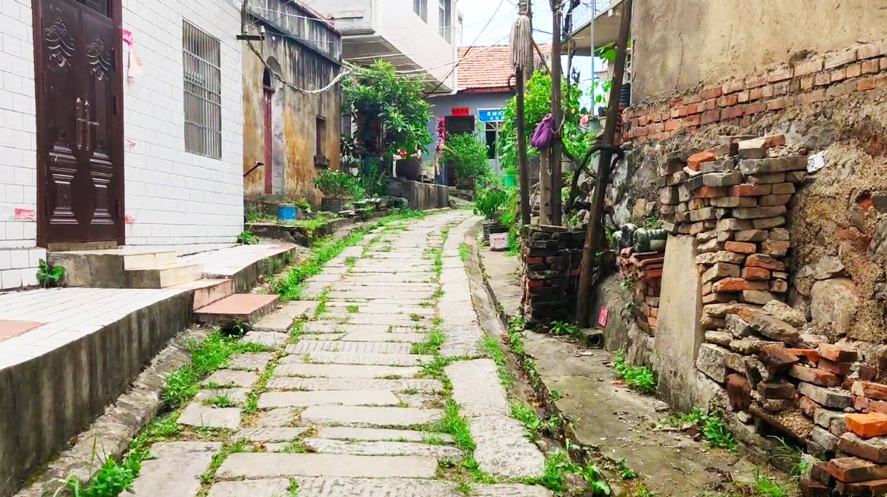 长江武汉段有座千年古镇，青石板街道遍布老建筑，时光在此静止