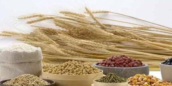 杂粮|糖尿病人早餐决定一天血糖好坏，吃什么怎么吃好呢？