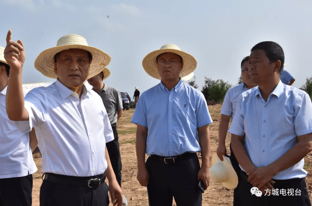 方城县委书记段文汉带队到广阳镇观摩乡村振兴综合片区治理工作