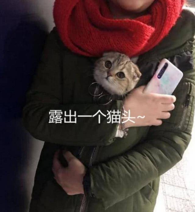 女孩出超市緊裹大衣，被質疑偷東西，打開衣服後眾人看傻了！ 萌趣萌寵 第2张