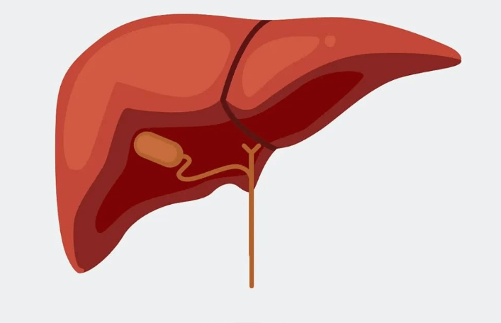 免疫|肝脏一旦生病了,身体可能会发出4个“声音”,要仔细认真听