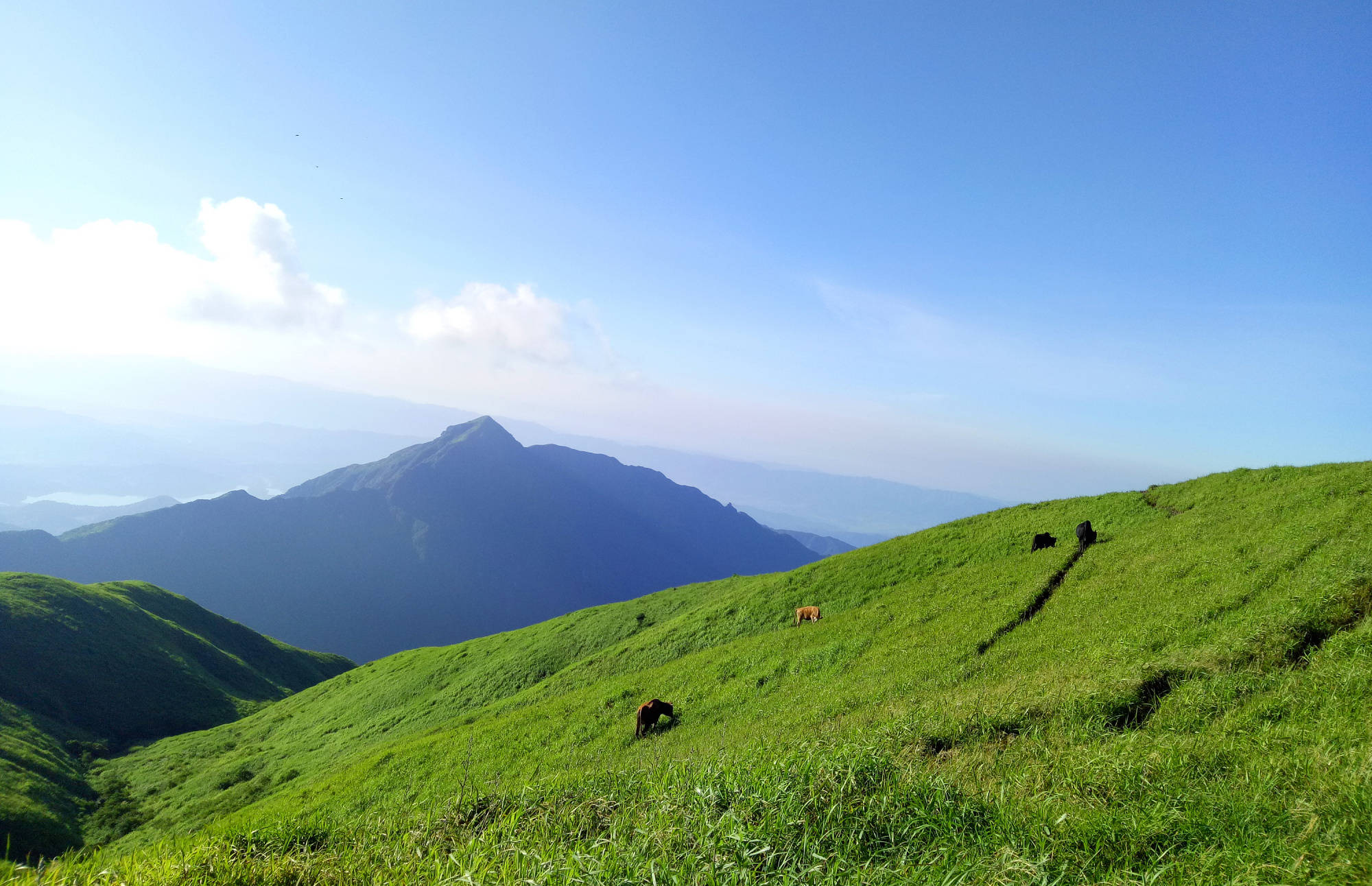 我国江南三大名山之一内藏十万亩的高山草甸最高峰19183米