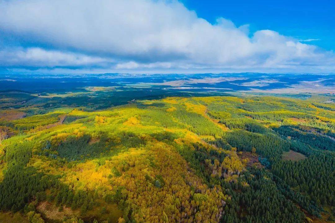 原创塔克拉玛干沙漠发洪水了北方或将重回温暖气候模式是好事吗