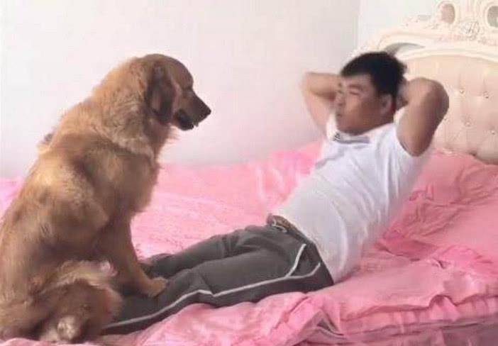 狗狗聪明乖巧善解人意，可惜遇上二货主人，这表情简直绝了