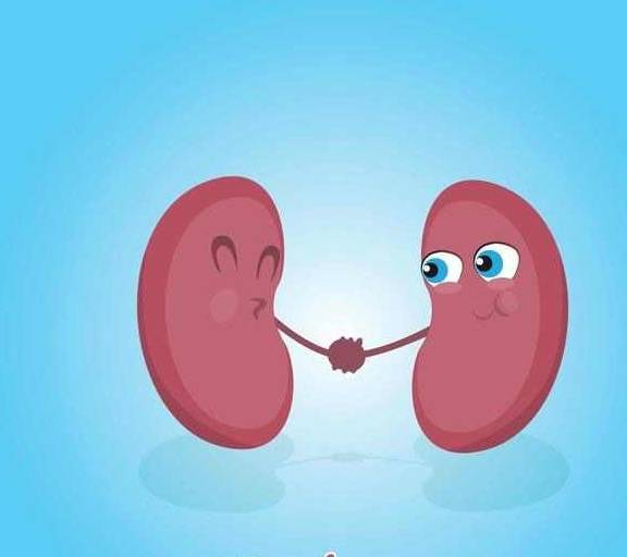 肾脏|肌酐升高了怎么办？先做这几件事情，对延缓肾脏恶化很有帮助！