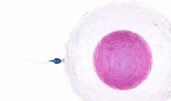 当月经走后10天 身体出现这3种 情况 说明可能要 排卵 了 女性