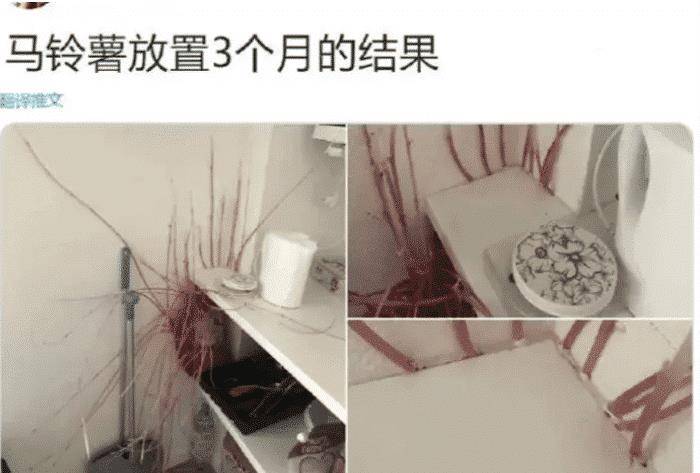 家小|如果我是按摩师,遇到这种客人,可能我直接就跑了吧!哈哈哈哈哈!太吓人了!