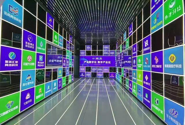 园中园成为新引擎四川大竹数字经济悄然崛起