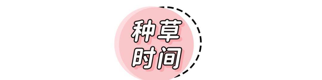 奥运|00后美少女夺奥运首金！没想到，几千万人都在馋她的“美甲”！