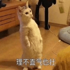 人群|这几款专门为油痘肌研发的洗面奶:好用到15天内回头囤了6瓶...