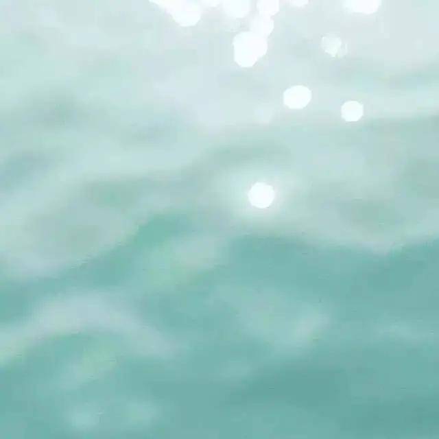 治愈|蝴蝶堂 | 爱亦心伊:闯入一场薄荷绿的白日梦境