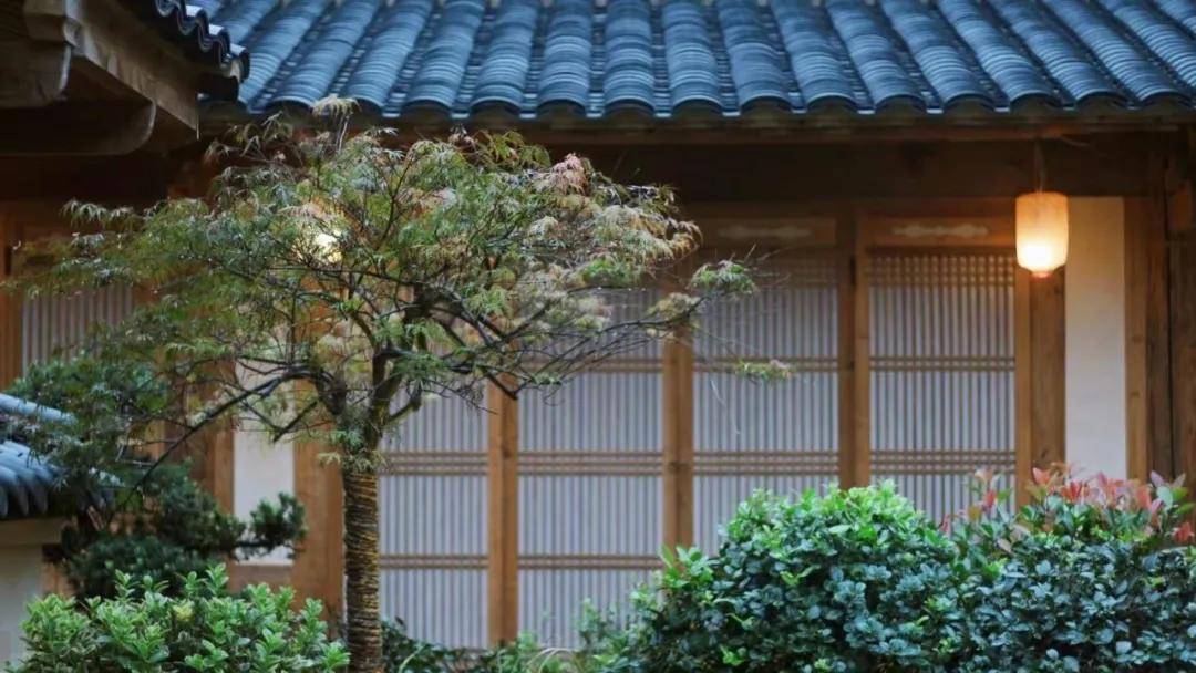 "|?“不可惜费,只贵工成"——净莲满堂如何打造有中国根脉的文化IP