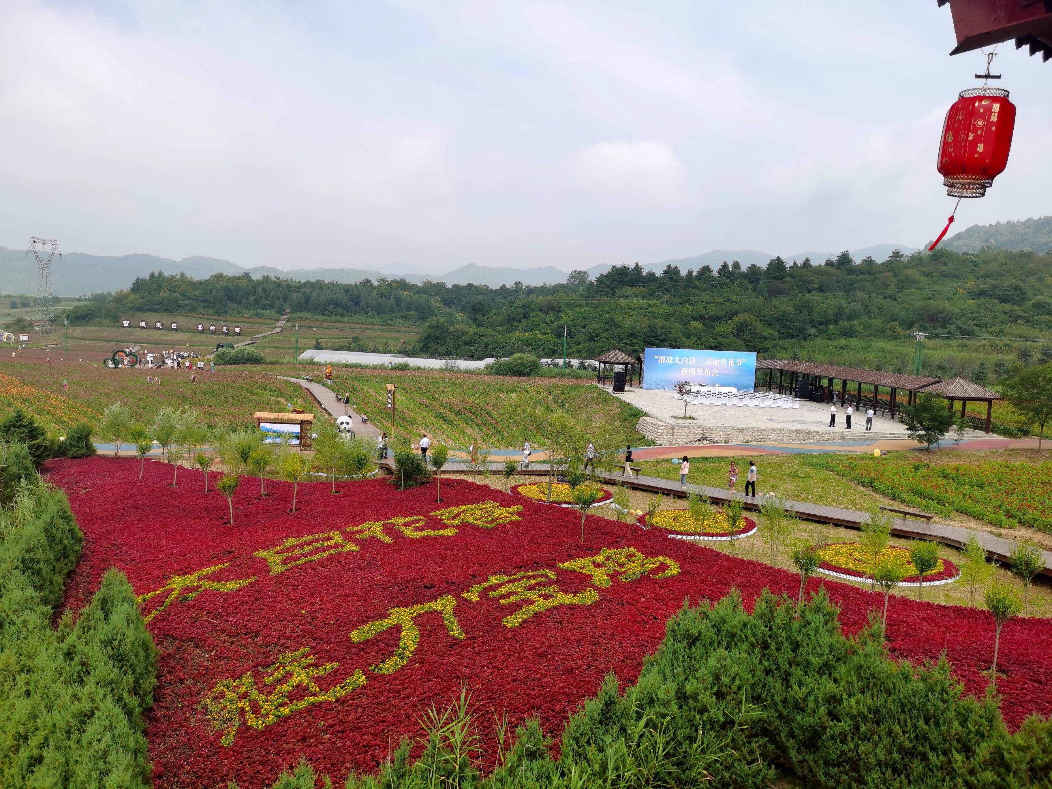 宝鸡市|@宝鸡市民 “清凉太白县·美丽赏花节”正式开幕 多条线路清凉过夏