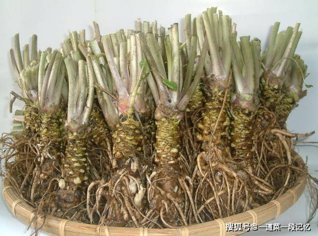 可以食用的野菜图片及名称 c3b8f99640d647f29ee1cad3eca7fb8f.jpeg