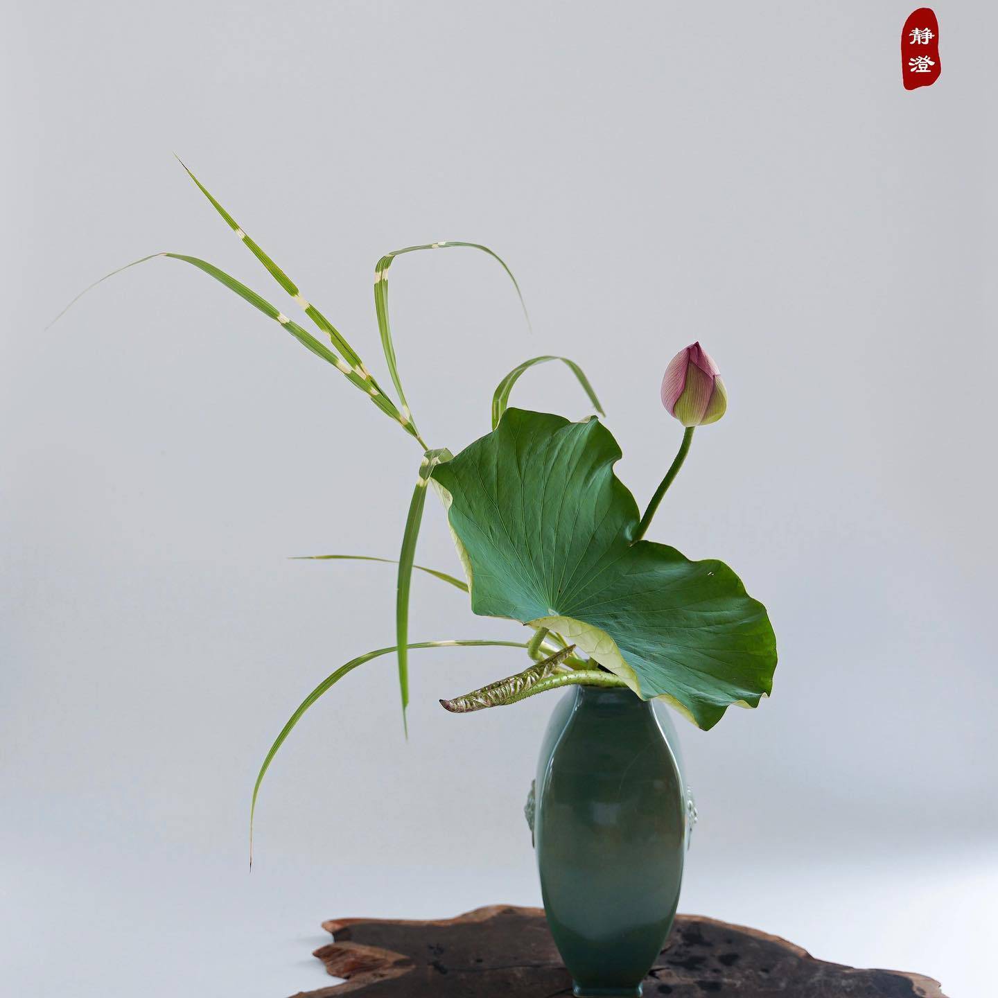 知道什么是东方式插花后,我们回到主题, 怎样的花才能被称之为"国风