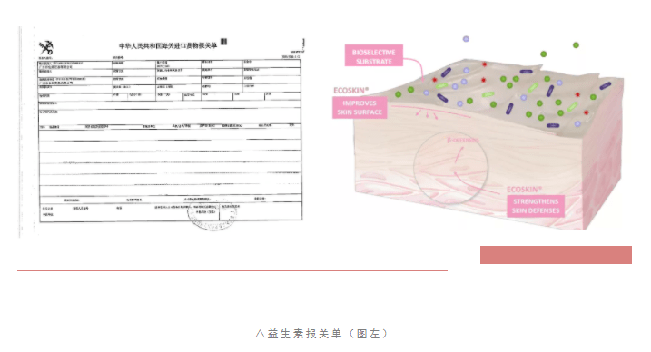 用户|全新升级2 | 日间持续抗氧化，由内而外的呵护，打造透亮日光肌