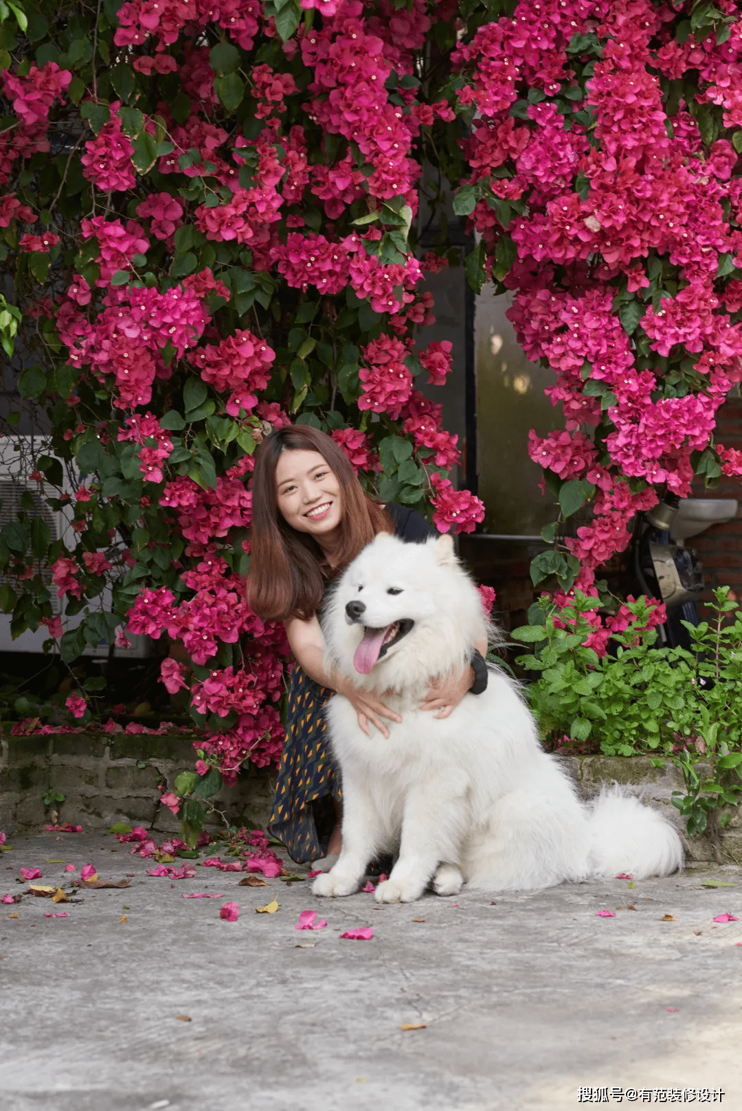 设计范李晓清她力量正绽放