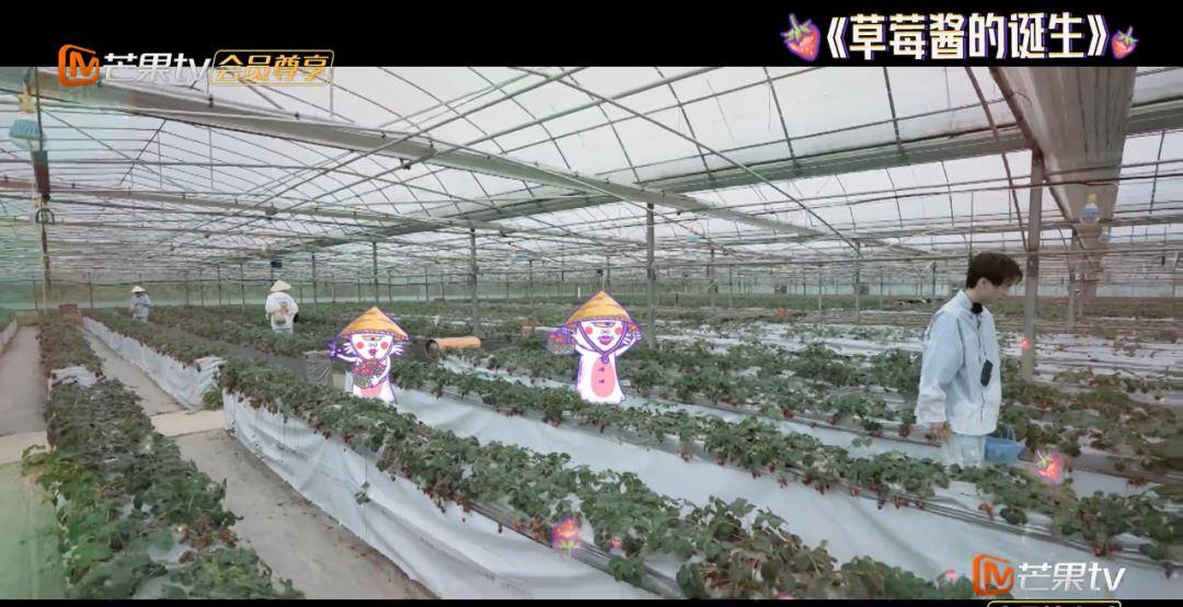 献礼|《名侦探学院4》完美收官！蒲熠星床位竟成观光区 学长们献礼感谢光明村