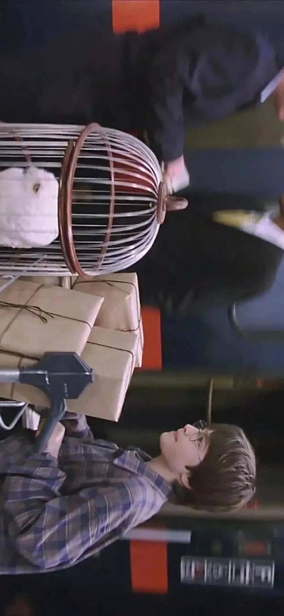 特辑|哈利波特壁纸特辑