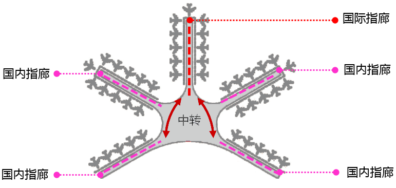 通航在即青島膠東機場海星航站樓構型誕生記