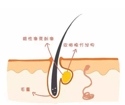 脸部|敬修堂佰花方：为什么手脚的皮肤都很白，脸上却粗糙暗沉呢！