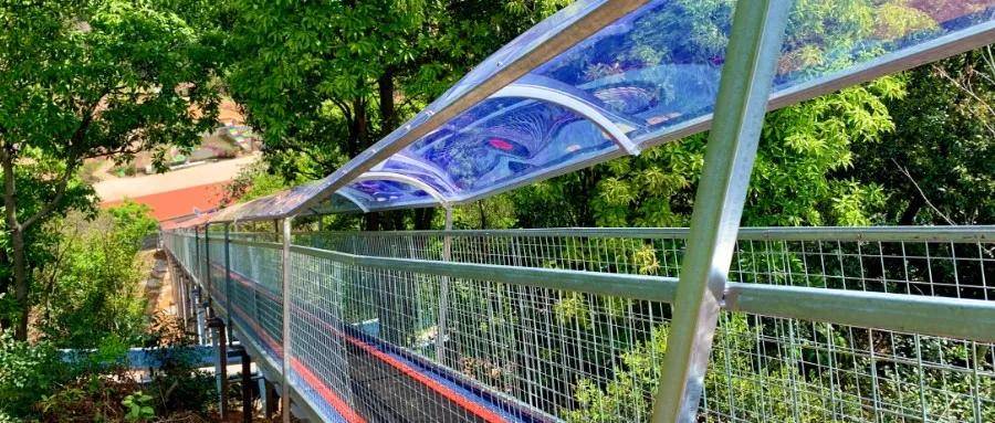 福建首条飞天魔毯来了!来灵龙谷再也不会满头大汗_景区