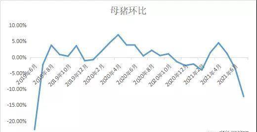 母猪|八月七日-明天猪价：猪价一路上涨， 抢猪又将开启？8月还能涨吗？