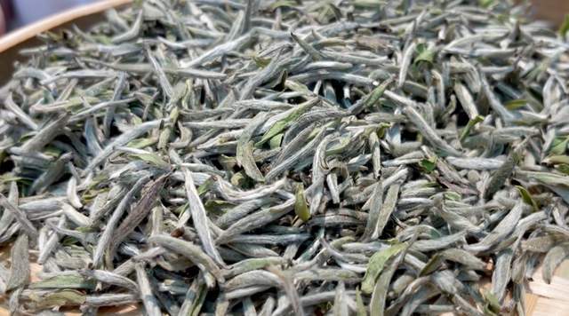 福鼎|喝白茶能预防新冠病毒感染吗?成都高级评茶师回应来了!