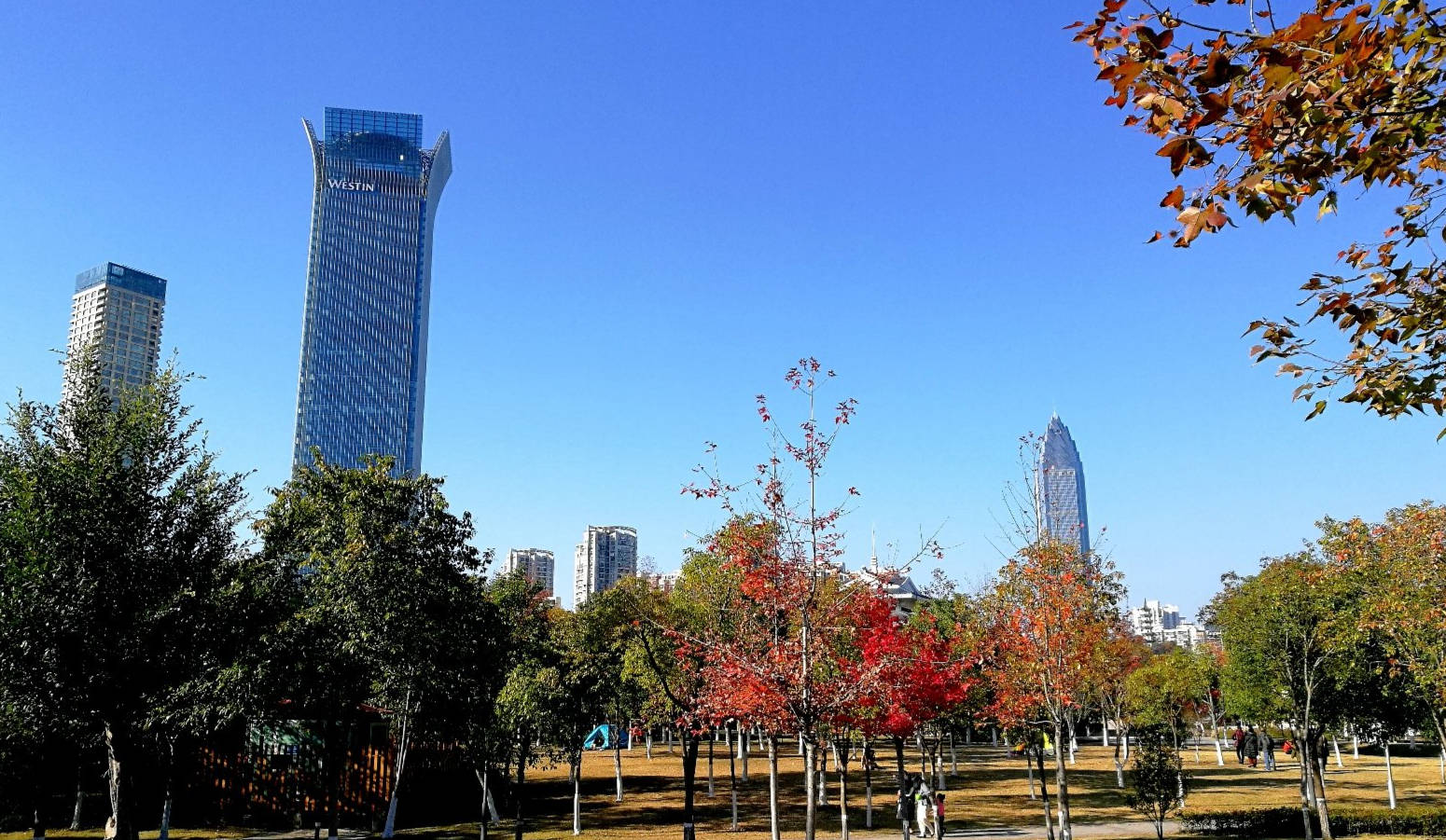 1997年乐清GDP_温州围棋团体赛在即 乐淸丽水鹿城瑞安四队争雄(2)