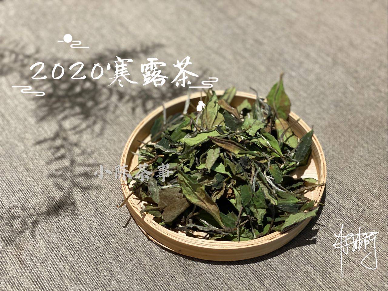因为|新人买白茶的4大铁律，村姑陈分享多年买茶经验，学会了就是赢家