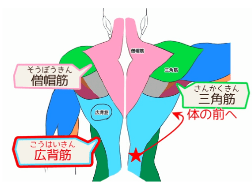 原創男性肌肉怎麼畫掌握基本人體結構人體肌肉怎麼畫都好看