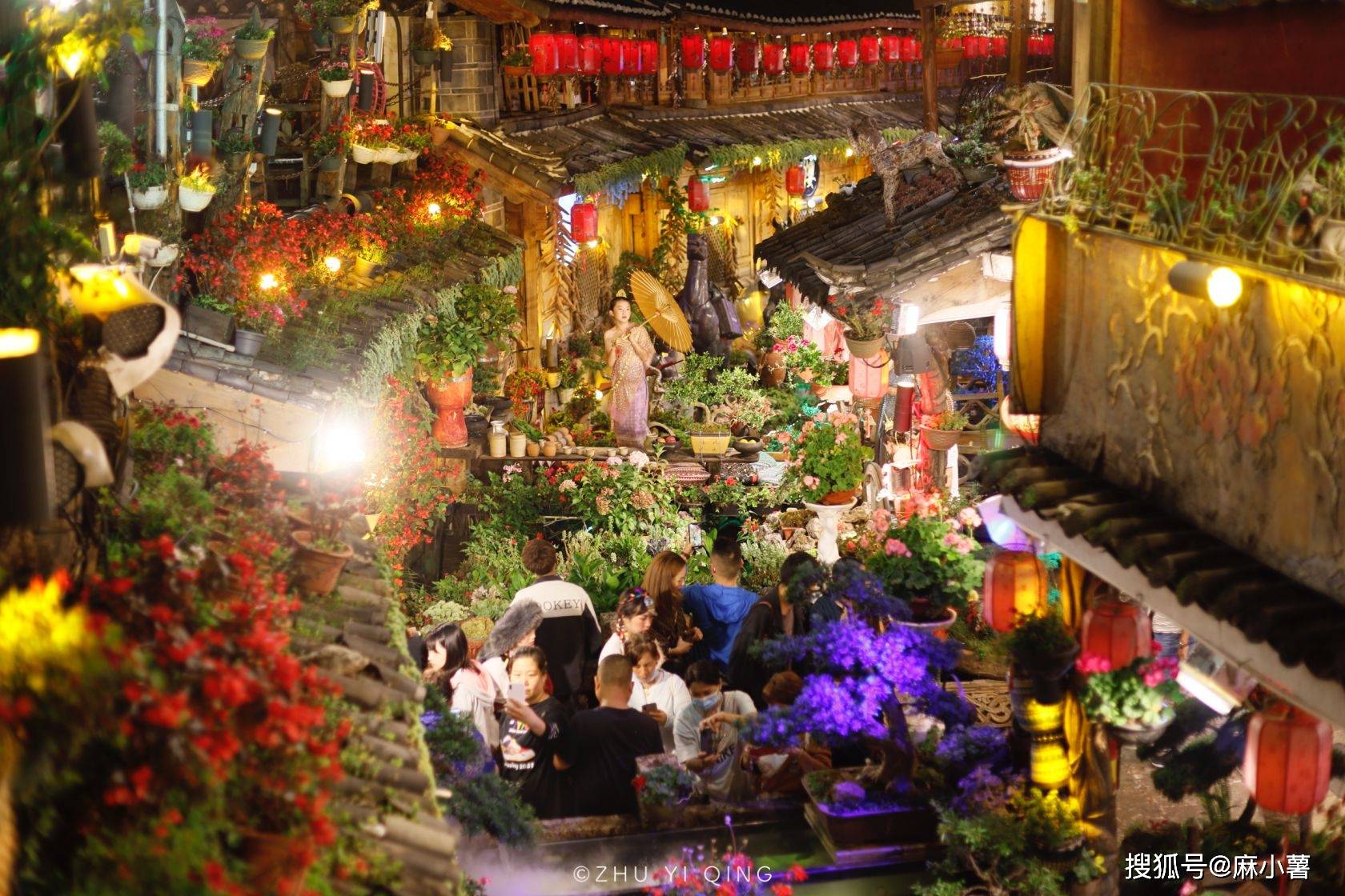丽江古城樱花餐厅图片图片