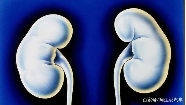 肾脏|肾衰竭发展成尿毒症前：身体至少会发出4次警报，可惜很多人错过了