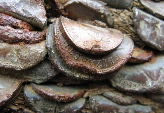 英国有个神奇的“摇钱树”，身上长满硬币，游客想拔却被导游阻止